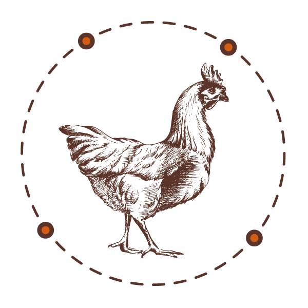 Nourrir poules soufflet avenue de beauregard nogent sur seine